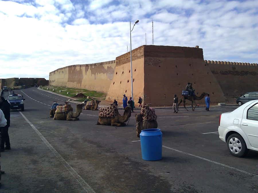 Agadir: City Discovery Tour - Pickup, Languages, and Timing