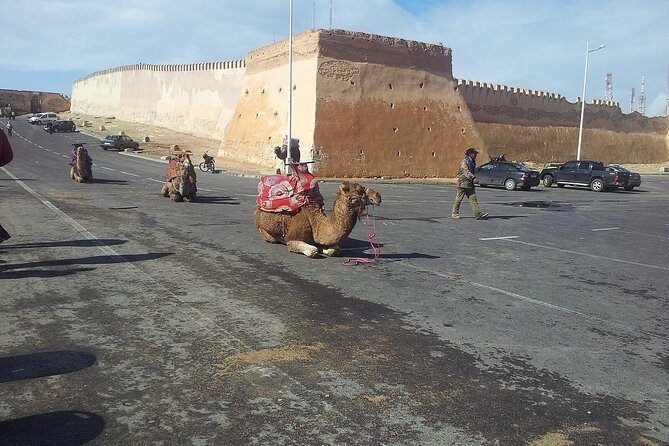 Agadir city tour and souk el had - The guide makes the difference