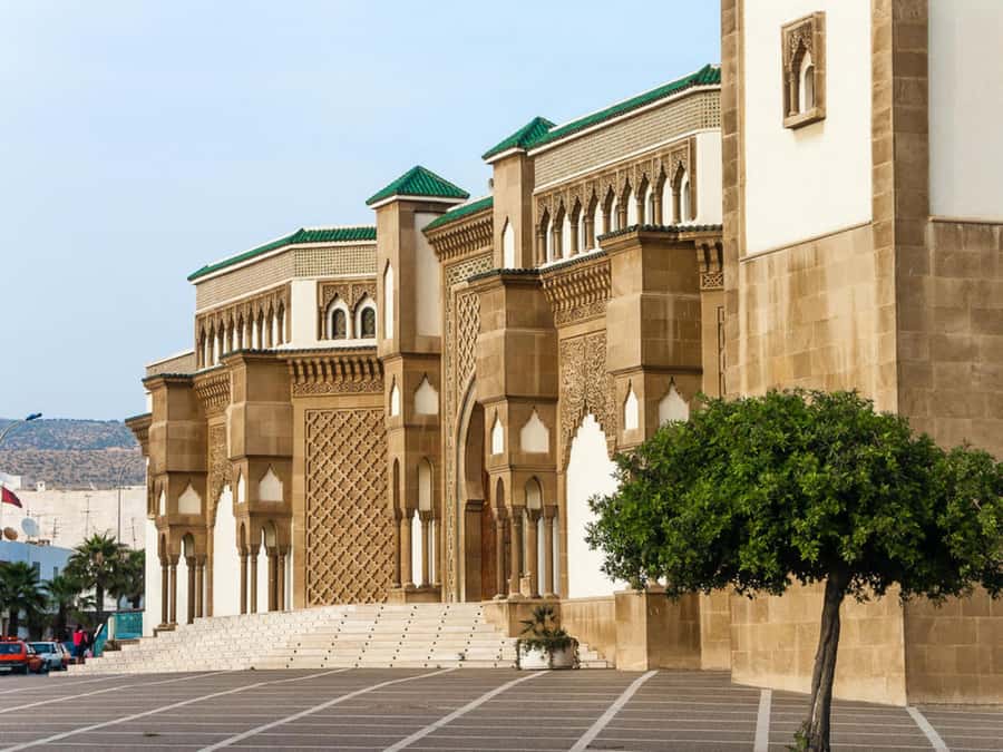 Agadir City Tour & Crocodile Park Adventure & Entry Ticket - Why this half-day tour works in Agadir