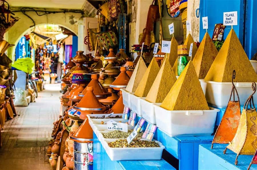 Agadir City Tour & Crocodile Park Adventure & Entry Ticket - The argan oil stop: useful, but keep it realistic