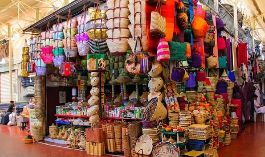 Agadir City Tour & Crocodile Park Adventure & Entry Ticket - Guides, transport, and the pace of the day