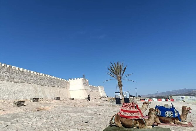 Agadir City Tour whit medina polizzi and Cable car Ride - Key things to know before you book
