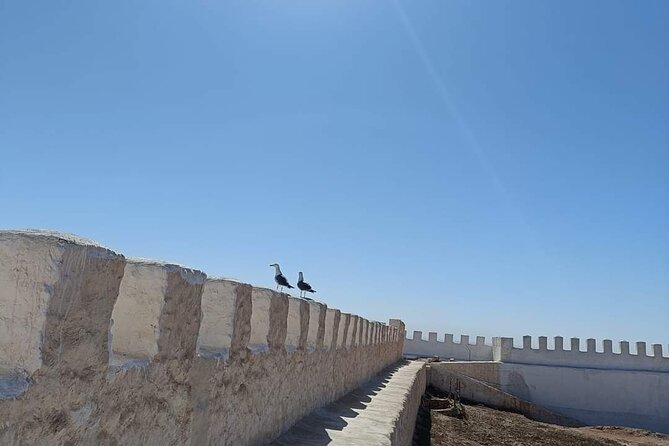 Agadir City Tour whit medina polizzi and Cable car Ride - Mosques, the Royal Palace, and modern Agadir