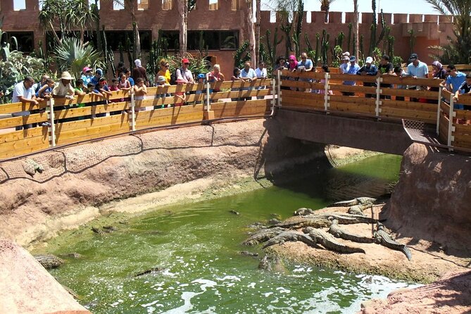 Agadir Crocodile Park Adventure - Is $40.71 good value?