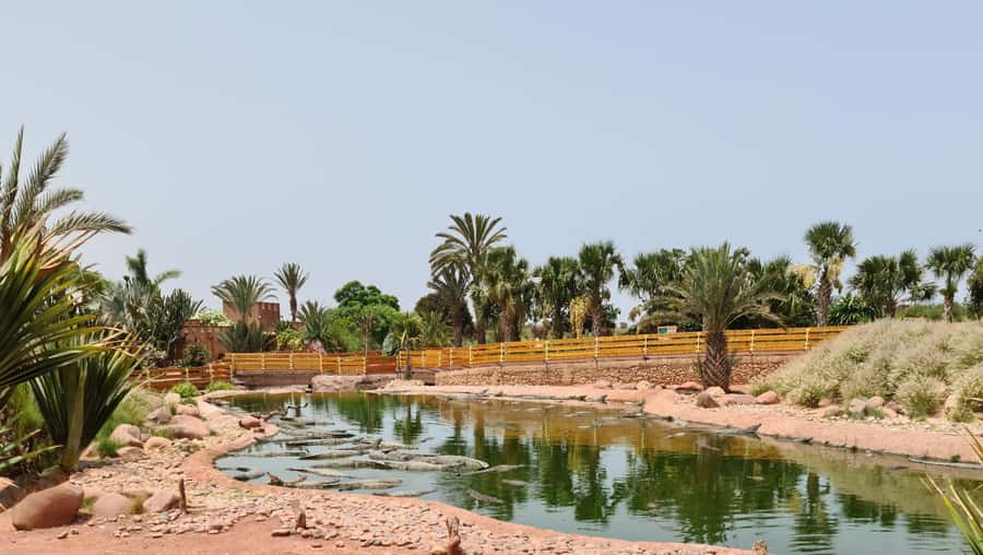 Agadir: Crocoparc Entry Ticket with Transfers, Guide, & Tea - Key points to know before you book