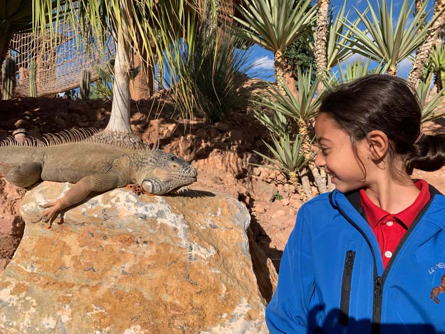 Agadir: Crocoparc Skip-the-Line Entry Ticket - Key things to know before visiting