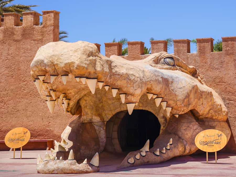 Agadir: Crocoparc Skip-the-Line Entry Ticket - The main crocodile enclosures