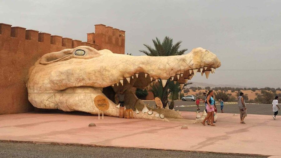 Agadir Crocoparc: Ticket and Transfer - Key points at a glance