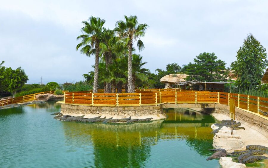 Agadir Crocoparc: Ticket and Transfer - The transfer and meeting point details