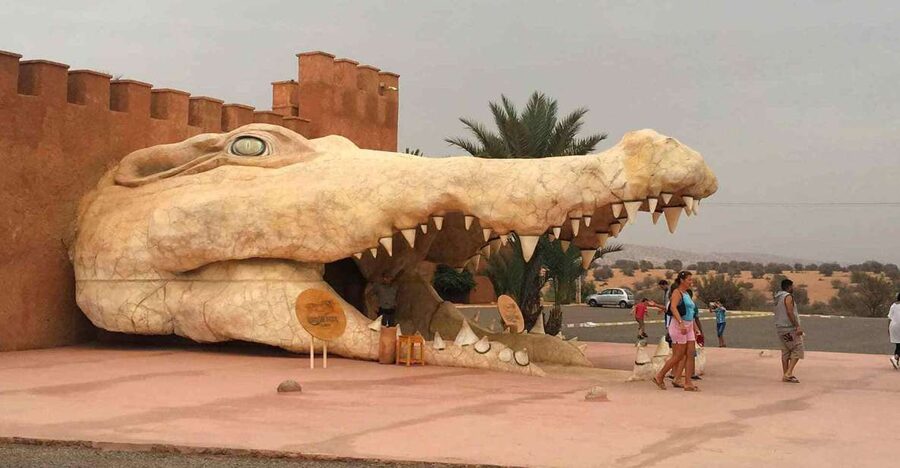 Agadir Crocoparc: Ticket and Transfer - A family visit with play areas and a crocodile view