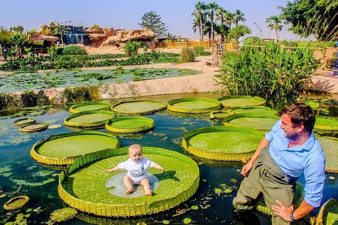 Agadir Crocoparc Transfer & Admission tickets - Entering Crocoparc and getting your bearings