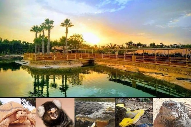 Agadir Crocoparc Transfer & Admission tickets - Price and value at $27.92