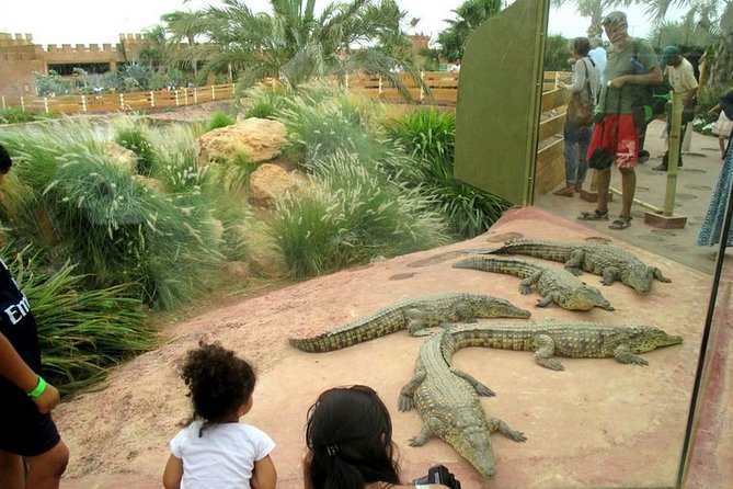 Agadir Crocoparc With Transfer & Admission ticket - Botanical gardens provide a slower pause
