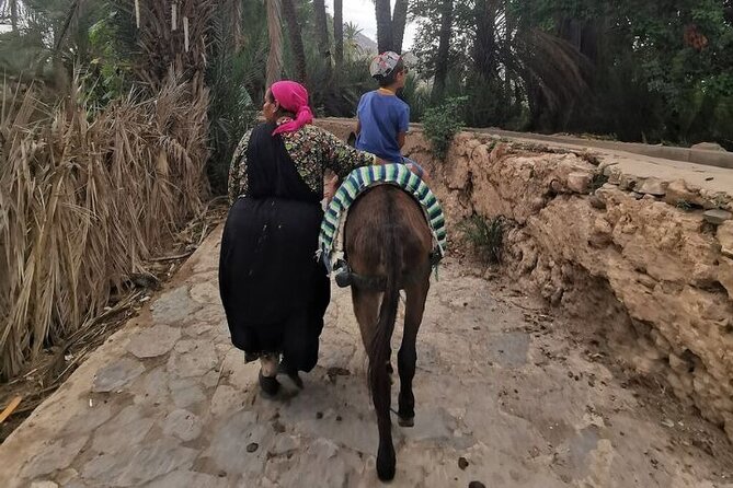 Agadir Day Trip to Taroudant and Tiout Oasis with Lunch - The guide can shape the whole day