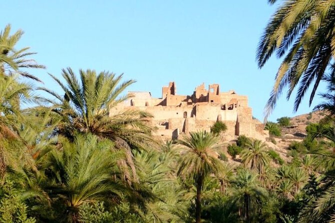 Agadir Day Trip to Taroudant and Tiout Oasis with Lunch - Booking, timing, and cancellation advice