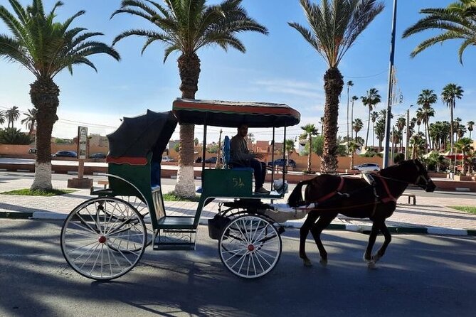 Agadir Day Trip to Taroudant and Tiout Oasis with Lunch - Tiout Oasis and its palm-covered setting