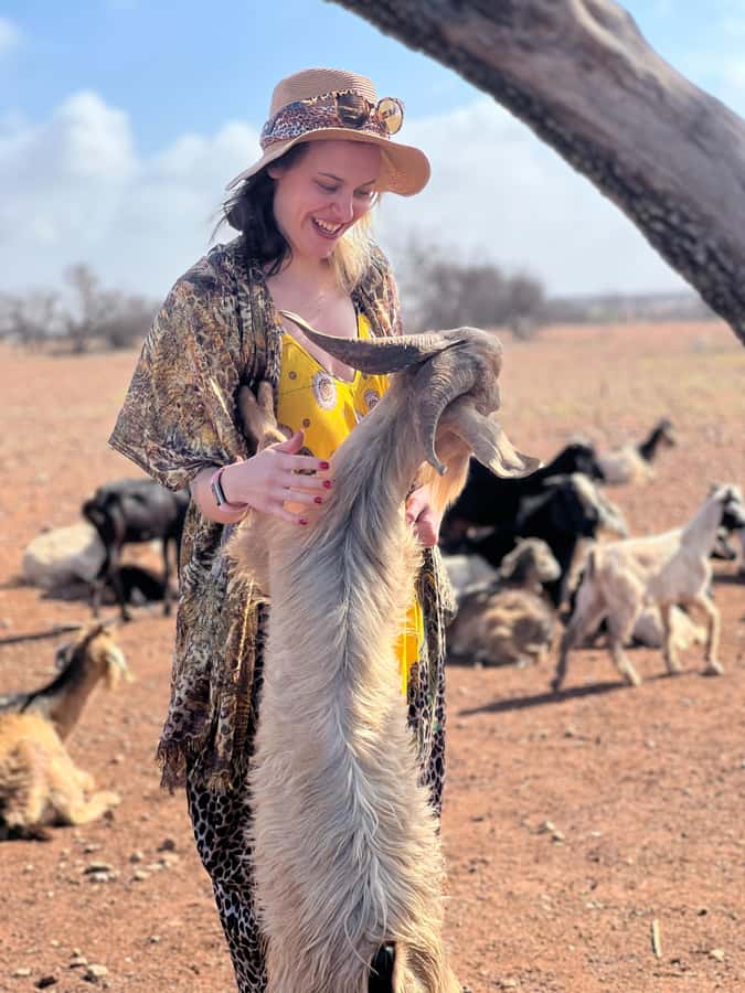 Agadir: Discover Argan Tree-Climbing Goats on a Morning Tour - Why this unusual Agadir morning works