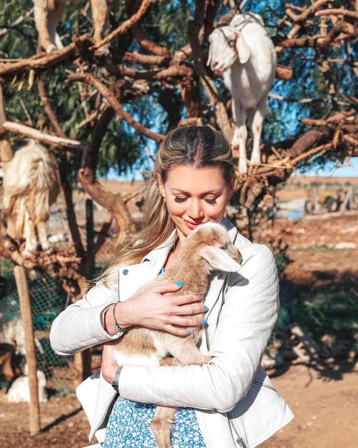 Agadir: Discover Argan Tree-Climbing Goats on a Morning Tour - The 9:00 AM pickup and drive south