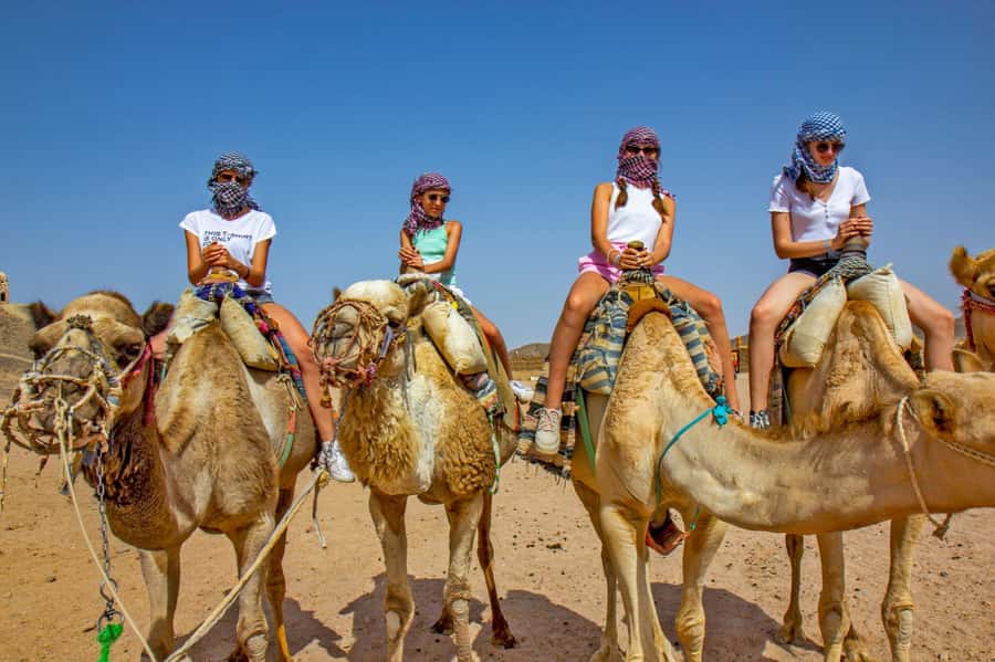 Agadir: Flamingo River Camel Ride with Optional BBQ Dinner - Sunset, photos, and the pace of the ride