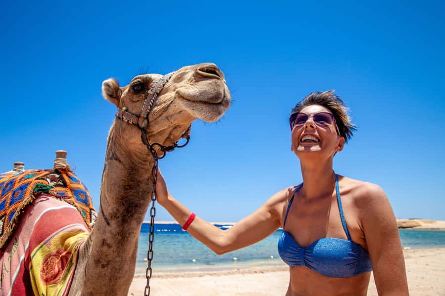 Agadir: Flamingo River Camel Ride with Optional BBQ Dinner - Guides, language, and the level of explanation