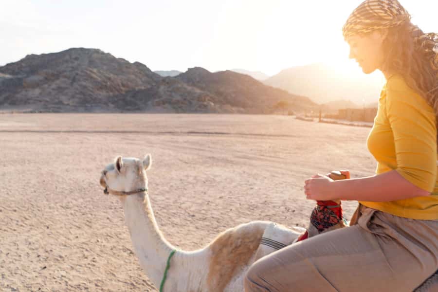 Agadir: Flamingo River Camel Ride with Optional BBQ Dinner - Value at $20 per person