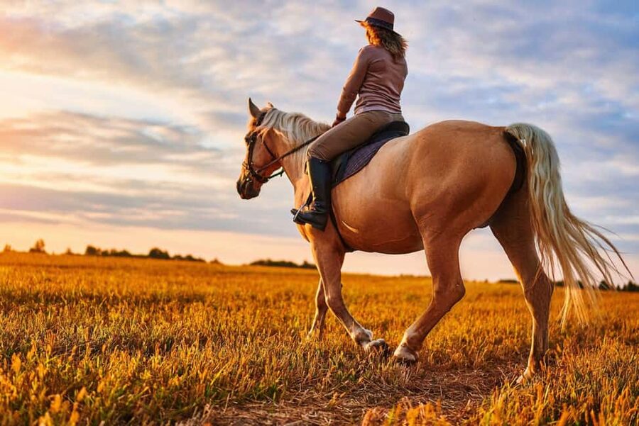 Agadir: Forest and Sand Dunes Guided Horse Riding - Key points at a glance