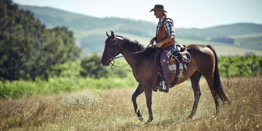 Agadir: Forest and Sand Dunes Guided Horse Riding - What the $23 price really gets you