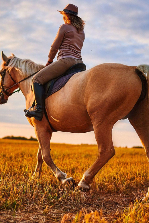 Agadir: Forest and Sand Dunes Guided Horse Riding - Through the eucalyptus forest