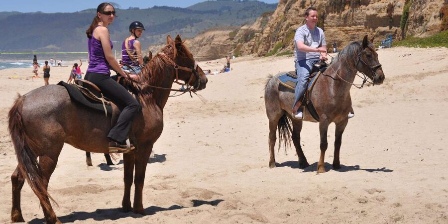 Agadir: Forest and Sand Dunes Guided Horse Riding - The guide can make or break the ride