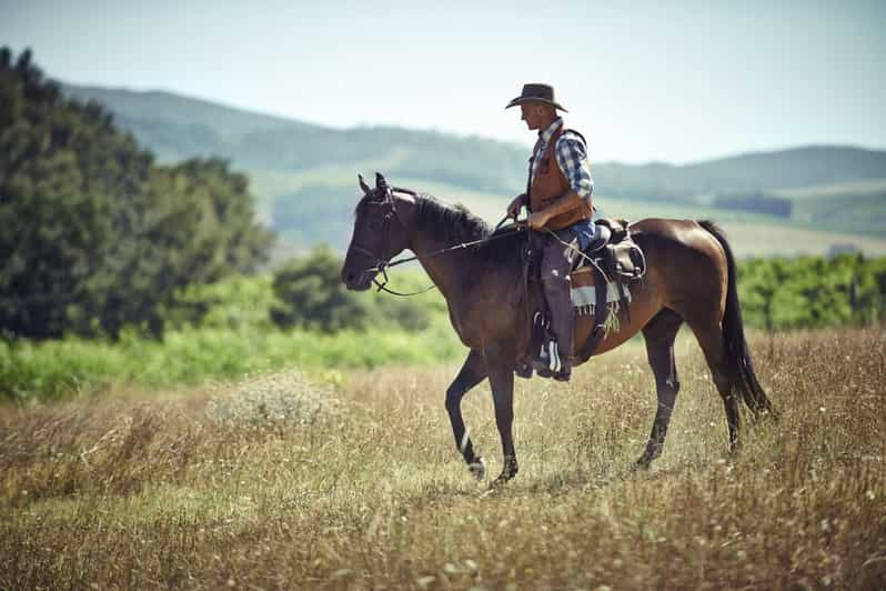 Agadir: Forest and Sand Dunes Guided Horse Riding - Leaving your hotel for the stable