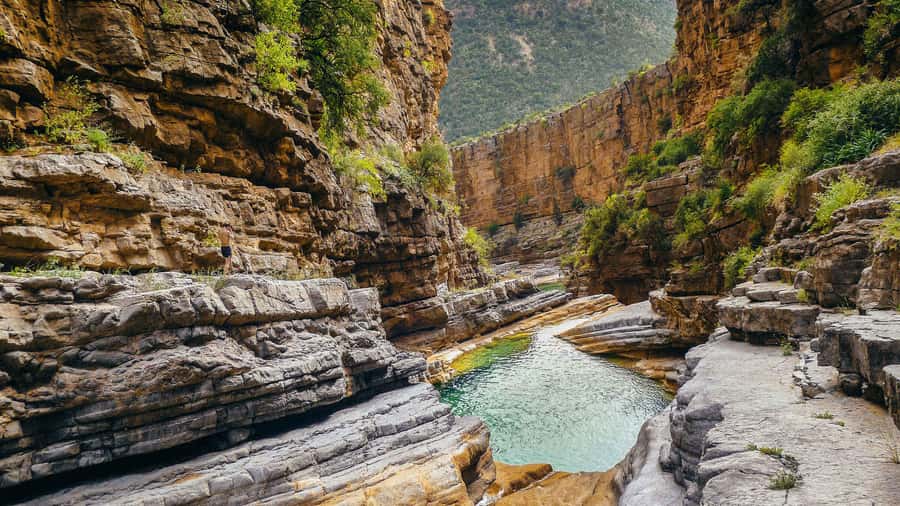 Agadir: Guided Excursion to Paradise Valley - Key points to know before booking