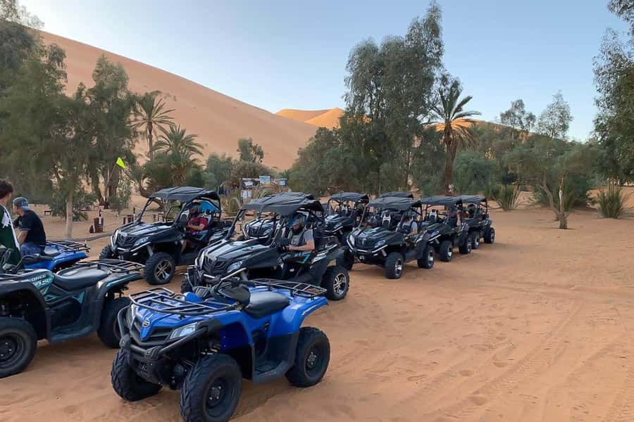 Agadir: Half-Day Desert Dunes Buggy Safari - Forest Tracks Before the Sand Dunes