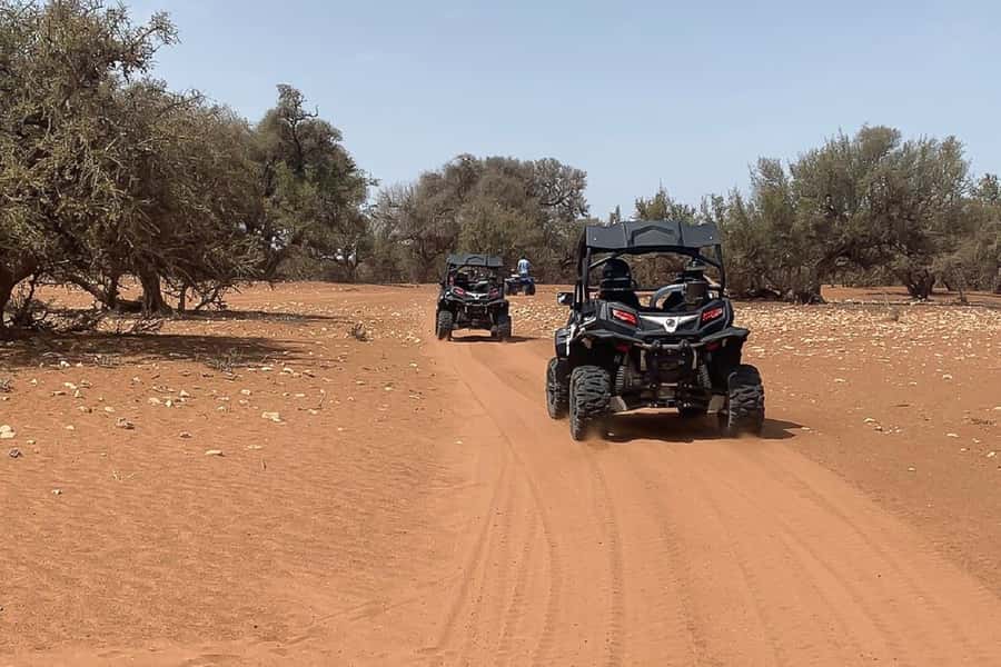 Agadir: Half-Day Desert Dunes Buggy Safari - The Beach Stop and Time for Photos
