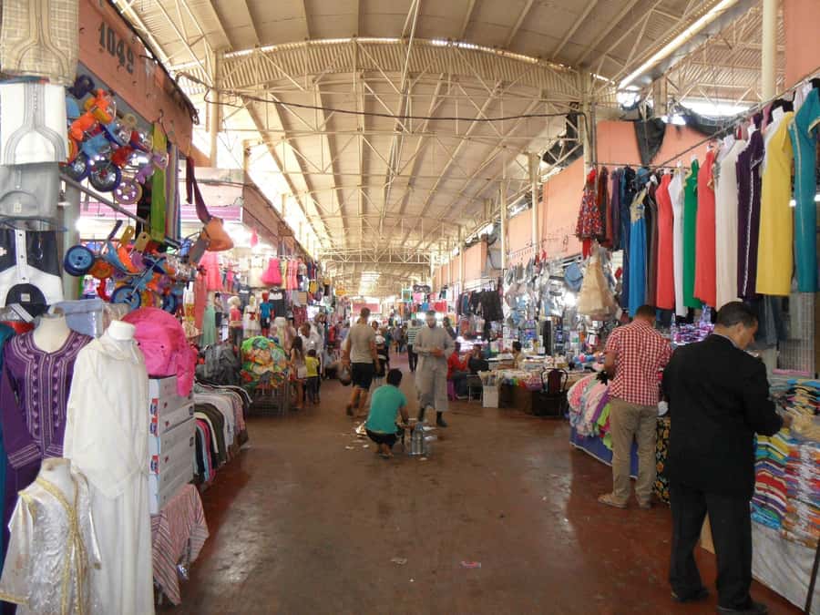 Agadir: Half-Day Guided Tour - Key things to know before booking