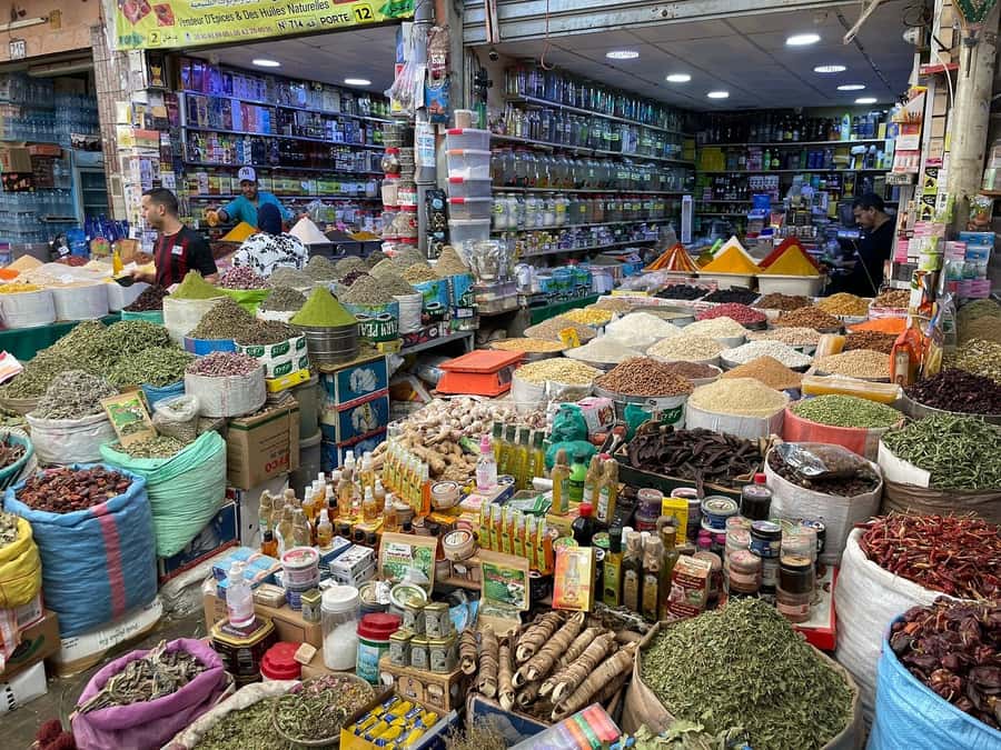 Agadir: Half-Day Guided Tour - What the guides add to the day