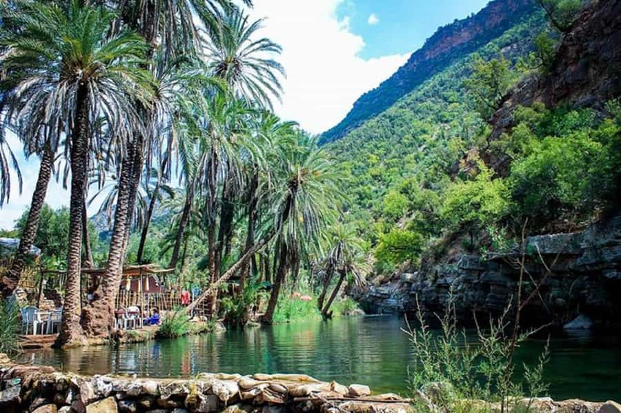 Agadir :Half day Paradise Valley & Atlas Mountains Tour - Who will enjoy this half-day trip