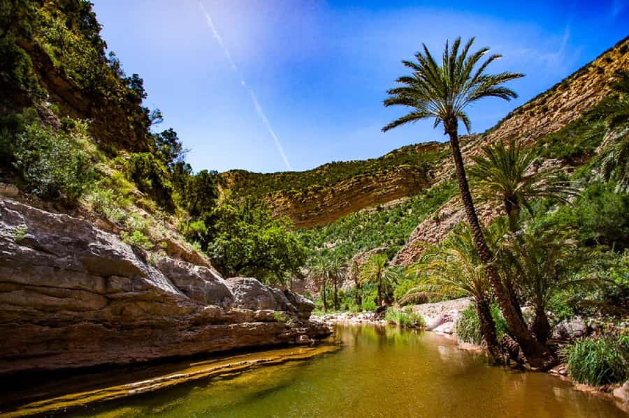 Agadir :Half day Paradise Valley & Atlas Mountains Tour - The Honey Road and village scenery