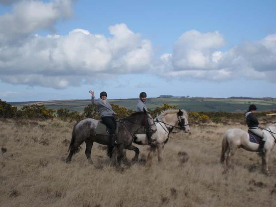 Agadir Horse Riding visite the flamingo river with tea drink - Through the eucalyptus forest and toward the beach