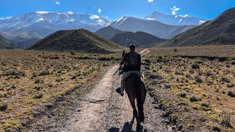Agadir Horse Riding visite the flamingo river with tea drink - Horses, guides, and riding comfort