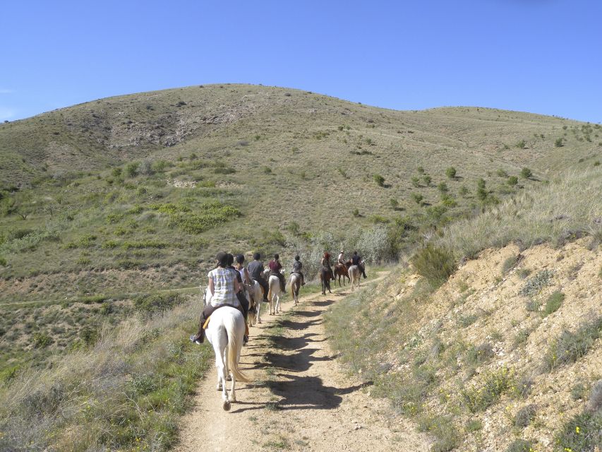 Agadir Horse Riding visite the flamingo river with tea drink - The tea stop that finishes the outing