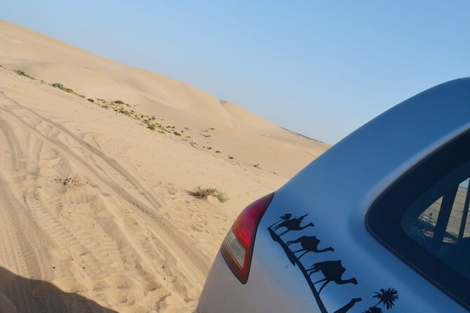 Agadir Jeep Safari Desert Day Trip including Lunch & camel ride - Tiznit, the Old Medina, and Morocco’s Silver Capital