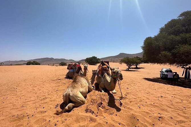 Agadir Jeep Safari Sahara Desert 4x4 Day Tour with Lunch - Finding desert and ocean near Tifnit