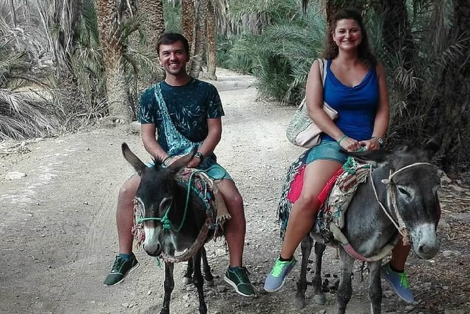 Agadir Morocco: Day Trip To Taroudant & Tiout Oasis with Lunch - Key points before you book