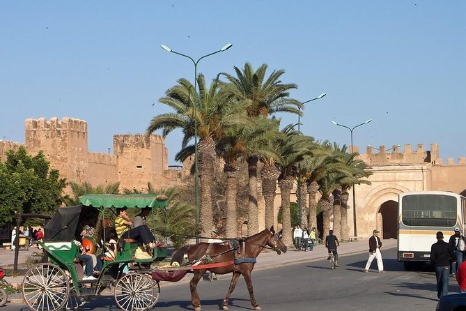 Agadir Morocco: Day Trip To Taroudant & Tiout Oasis with Lunch - Who will enjoy this trip most