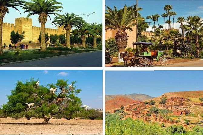 Agadir Morocco: Day Trip To Taroudant & Tiout Oasis with Lunch - The morning pickup and ride from Agadir