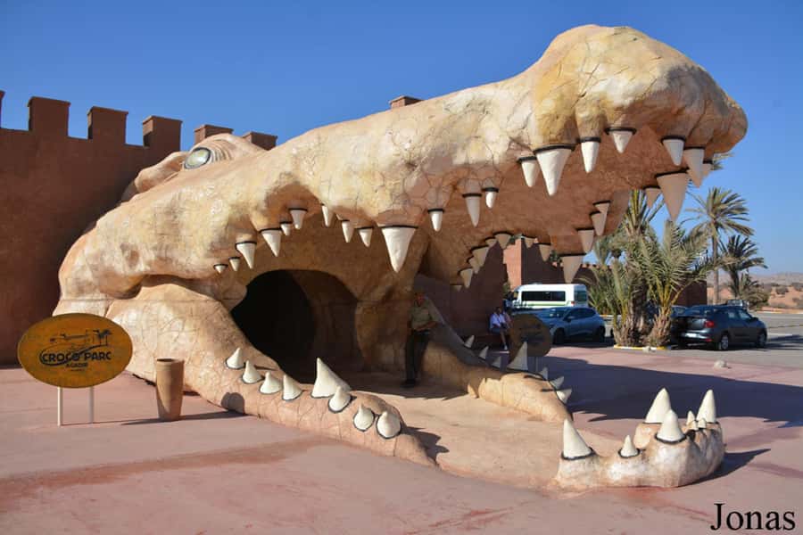 Agadir or Taghazout: Goat on Trees and Crocoparc with Pickup - Why this odd little outing works so well