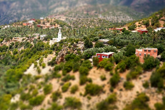 Agadir or Taghazout: Paradise Valley Atlas Mountain Swimming Trip - From Agadir to the Atlas foothills
