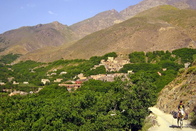 Agadir or Taghazout: Paradise Valley Atlas Mountain Swimming Trip - The people who shape the day