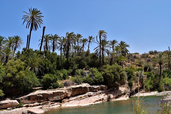 Agadir or Taghazout: Paradise Valley Atlas Mountain Swimming Trip - The botanical garden and argan oil visit