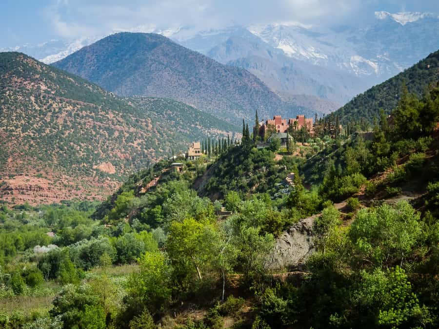Agadir or Taghazout: Paradise Valley Atlas Mountain Trip - Guide quality and the feel of the outing